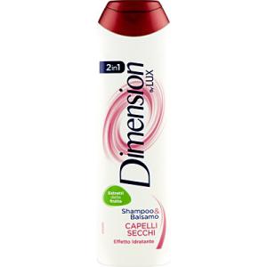 DIMENSION SHAMPOO 2IN1 SECCHI ML.250