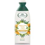L'ANGELICA SHAMPOO NUTRIENTE ML.250