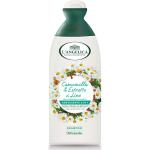 L'ANGELICA SHAMPOO 2IN1 DELIC.ML.250
