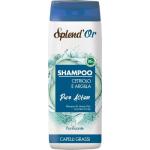 SPLEND'OR SHAMPOO CETRIOLO ML.300