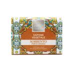 Lady Venezia Sapone Vegetale Igienizzante Antibatterico Sorrento 100 gr